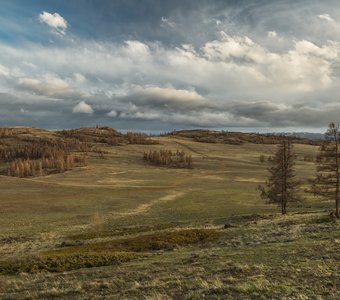 Курайская степь