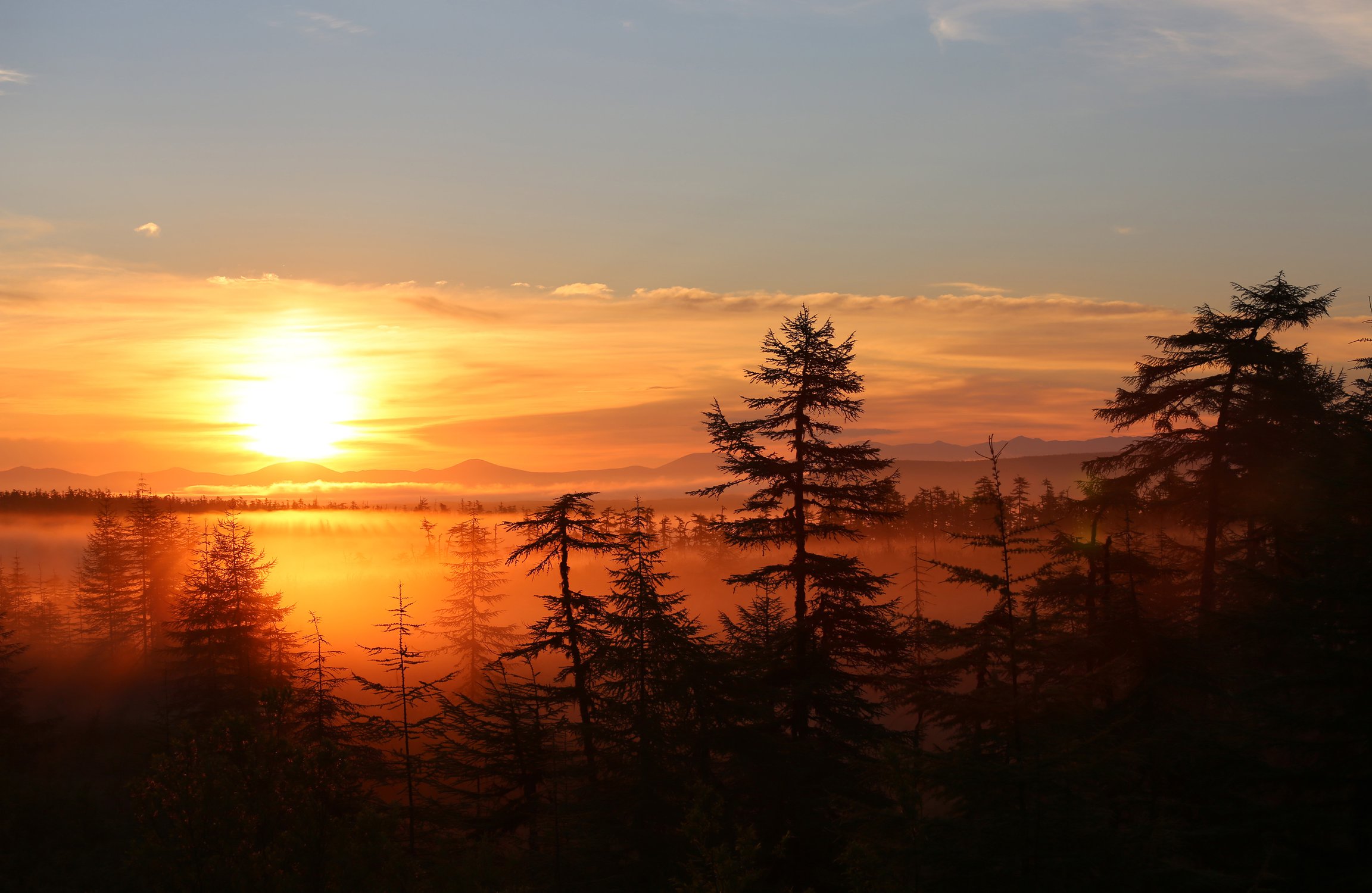 Золотая Колыма