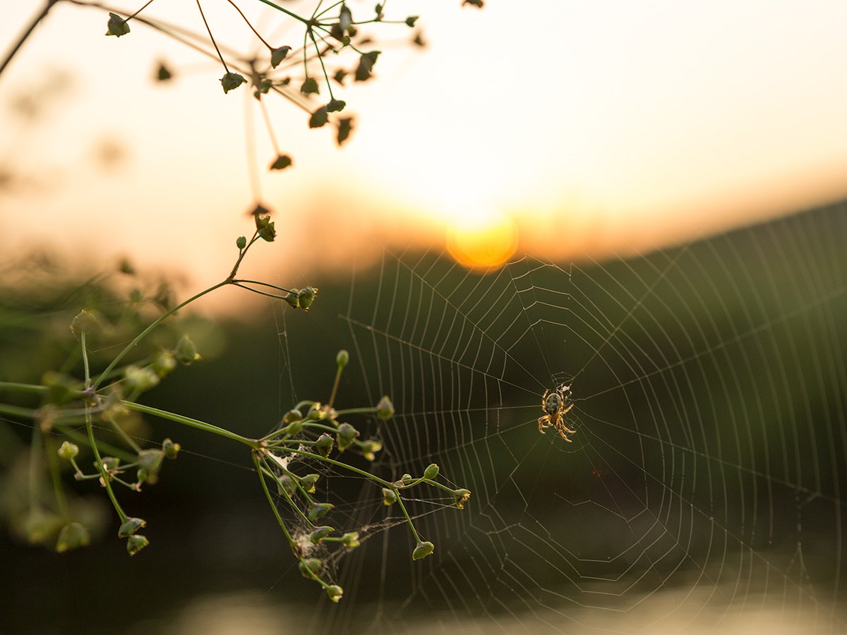 Доплетая лето