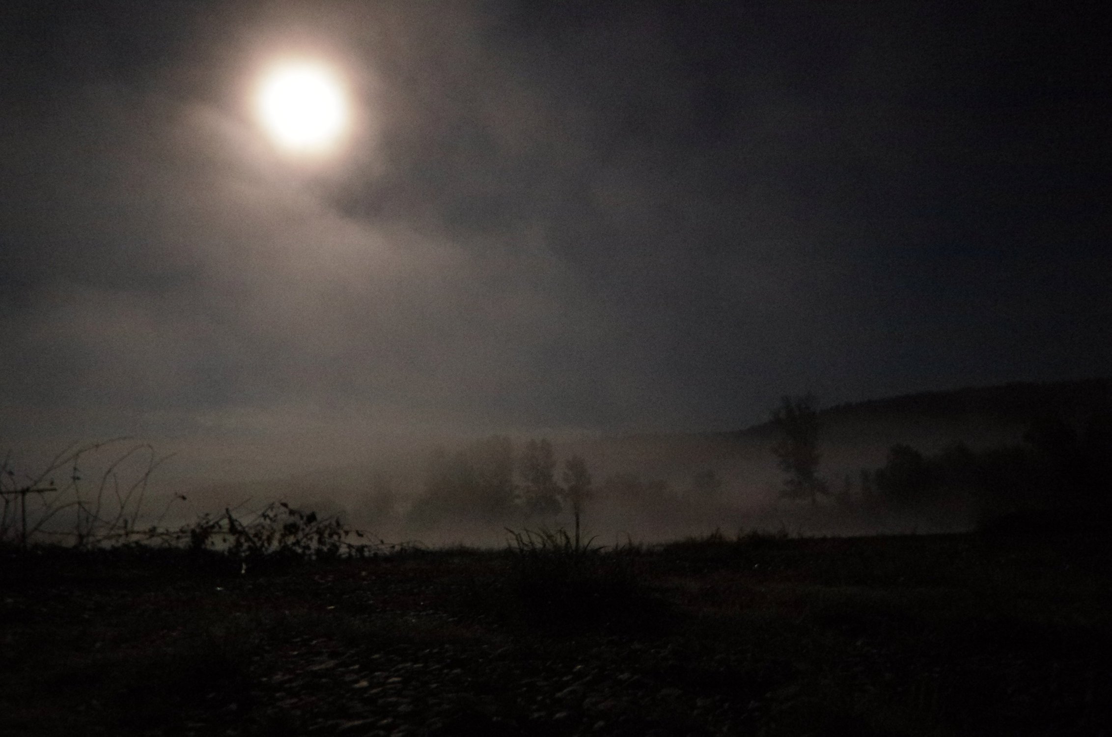 Туман над горной рекой