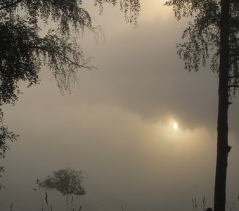 В предрассветной неге