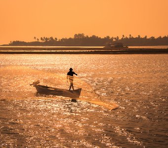 Golden evening