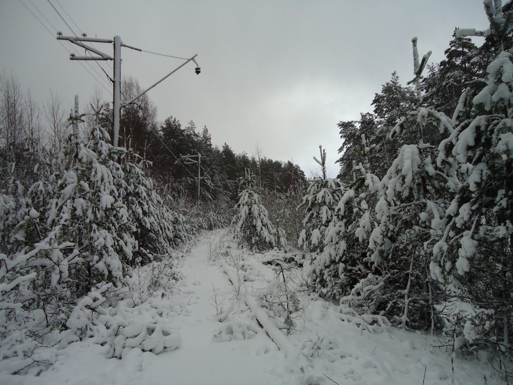 Дорога в никуда.