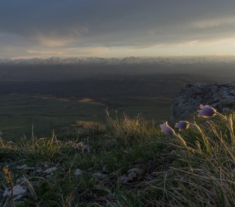 Весна на Скалистом хребте