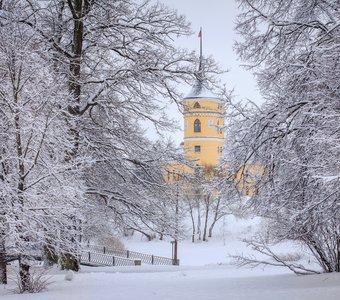 В снегах