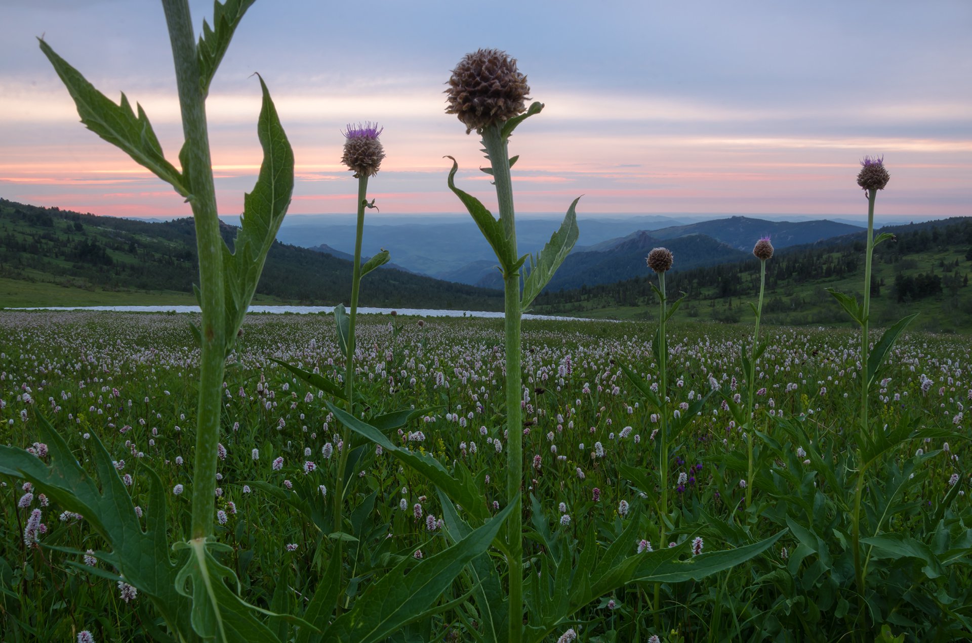 Три секунды тишины