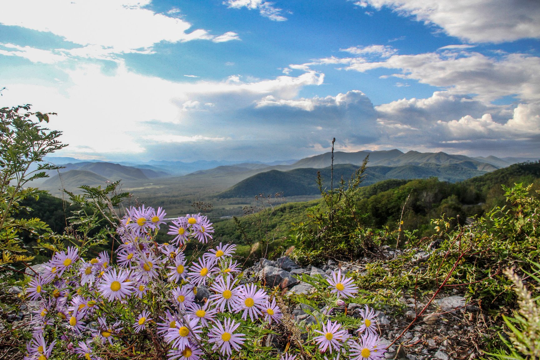 Дальнем востоке фото