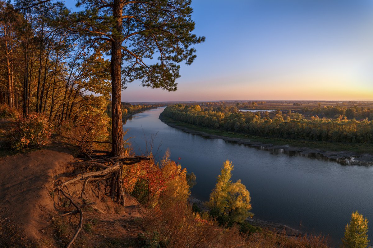 Излучина парк фото