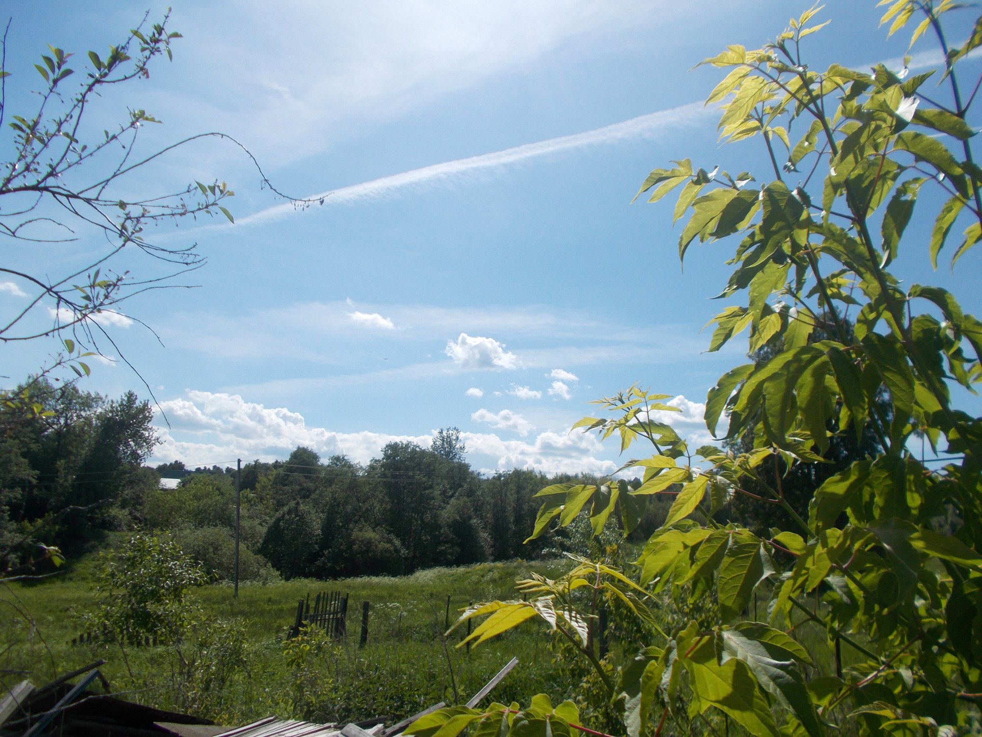 Прекрасный летний день