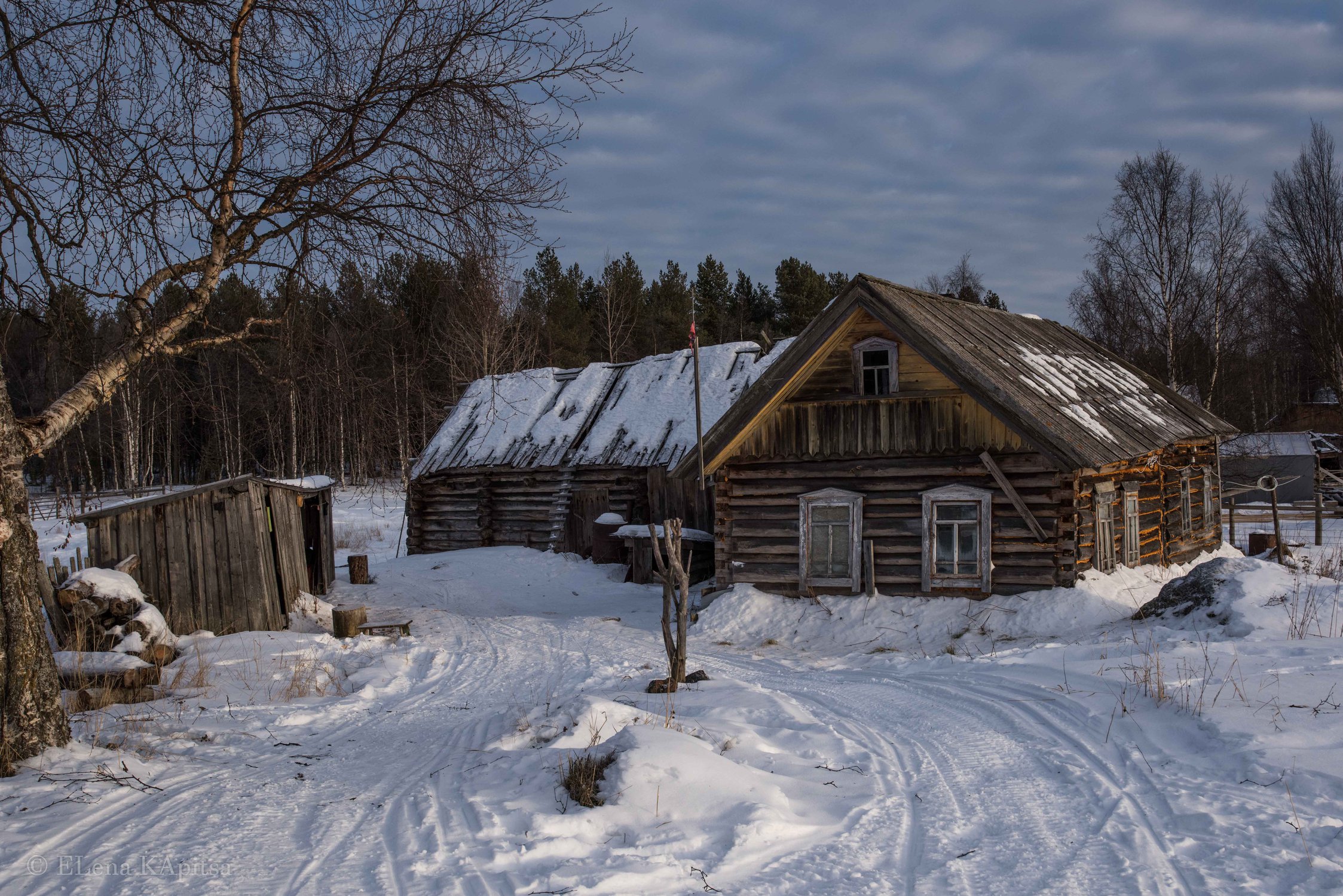 деревня зимой Деревня Березники и село Парское зимой. Россия.: alex_des — LiveJournal