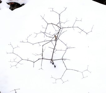 Геометрия на снегу.