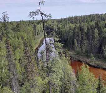 р.Сотка - там, где водится хариус