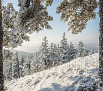 winter in the mountains