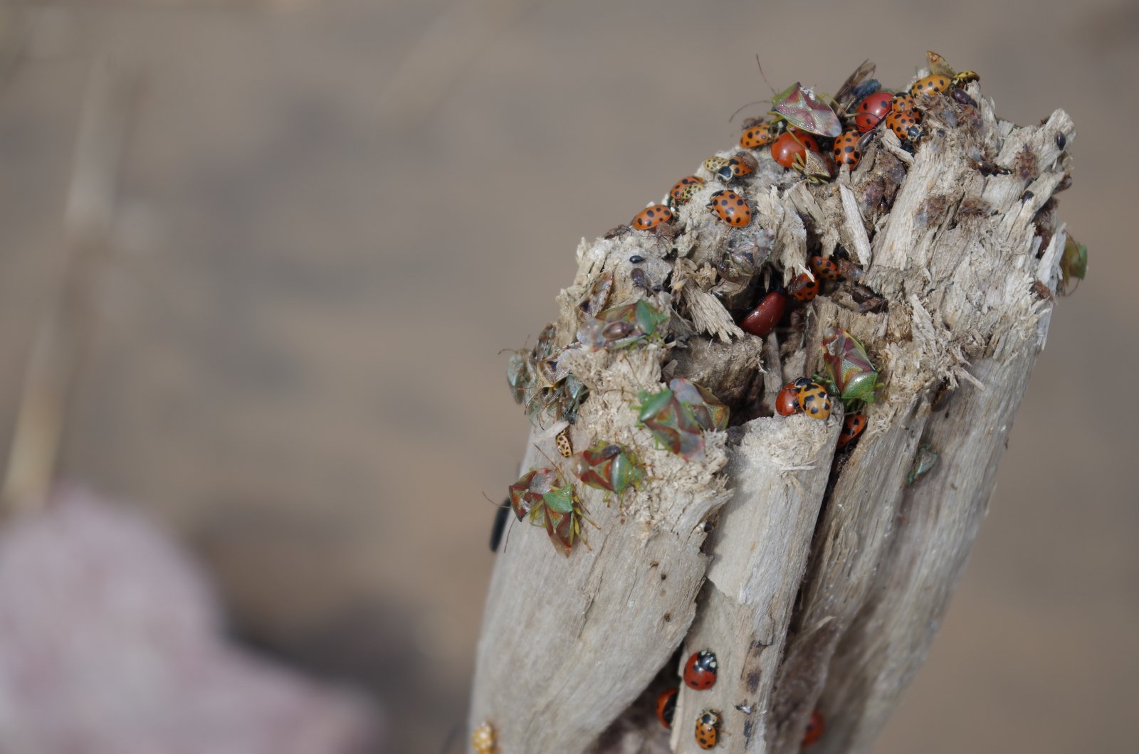 место встречи