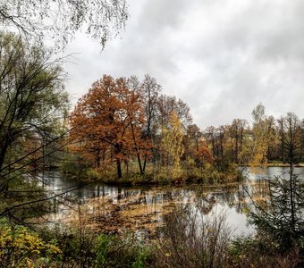 Осень в Середниково