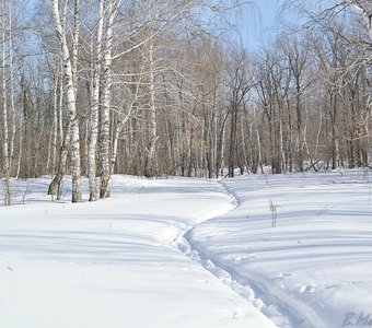 Тропинка