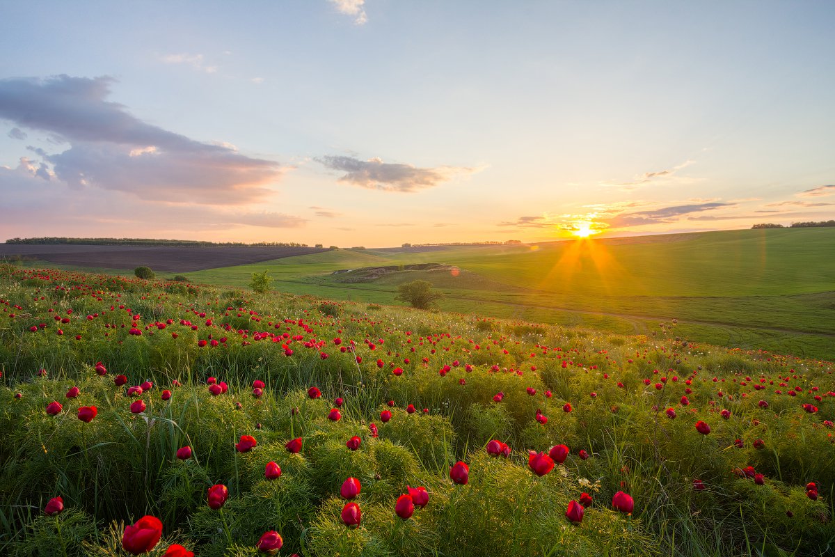 Степь красивые фото