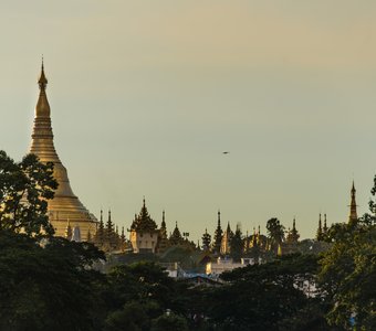 Пагоды Янгона