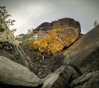 Жизнь хранимая горами