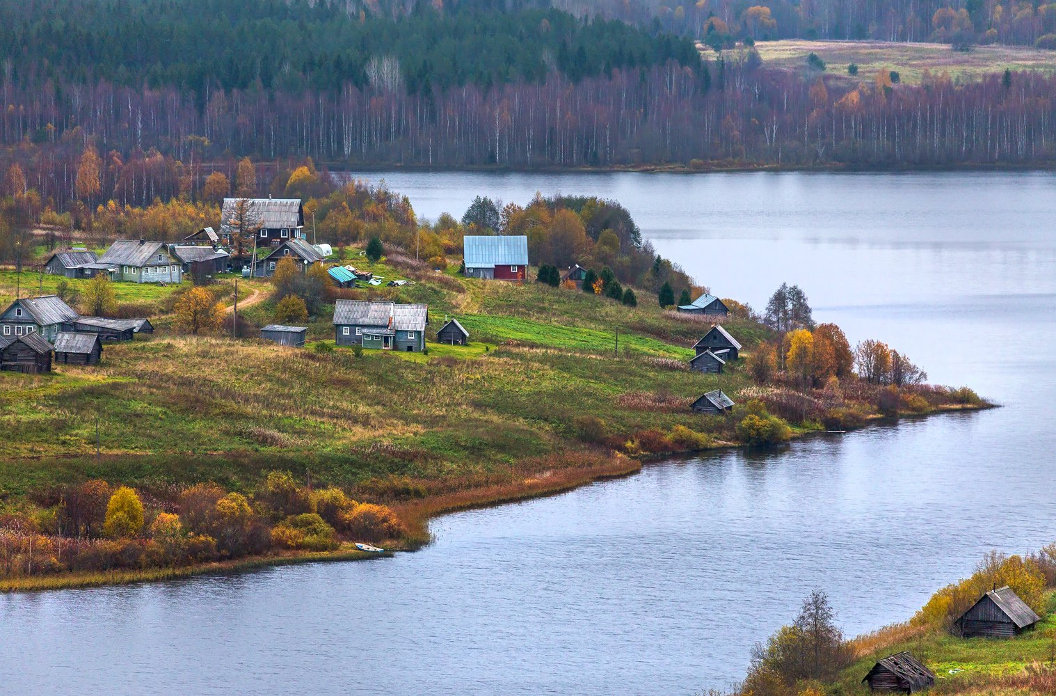 Село берег. Деревня Ладва Ленинградская область. Деревня Алеховщина река Оять. Деревня Ладва Подпорожский район. Деревня Миницкая Подпорожский район.