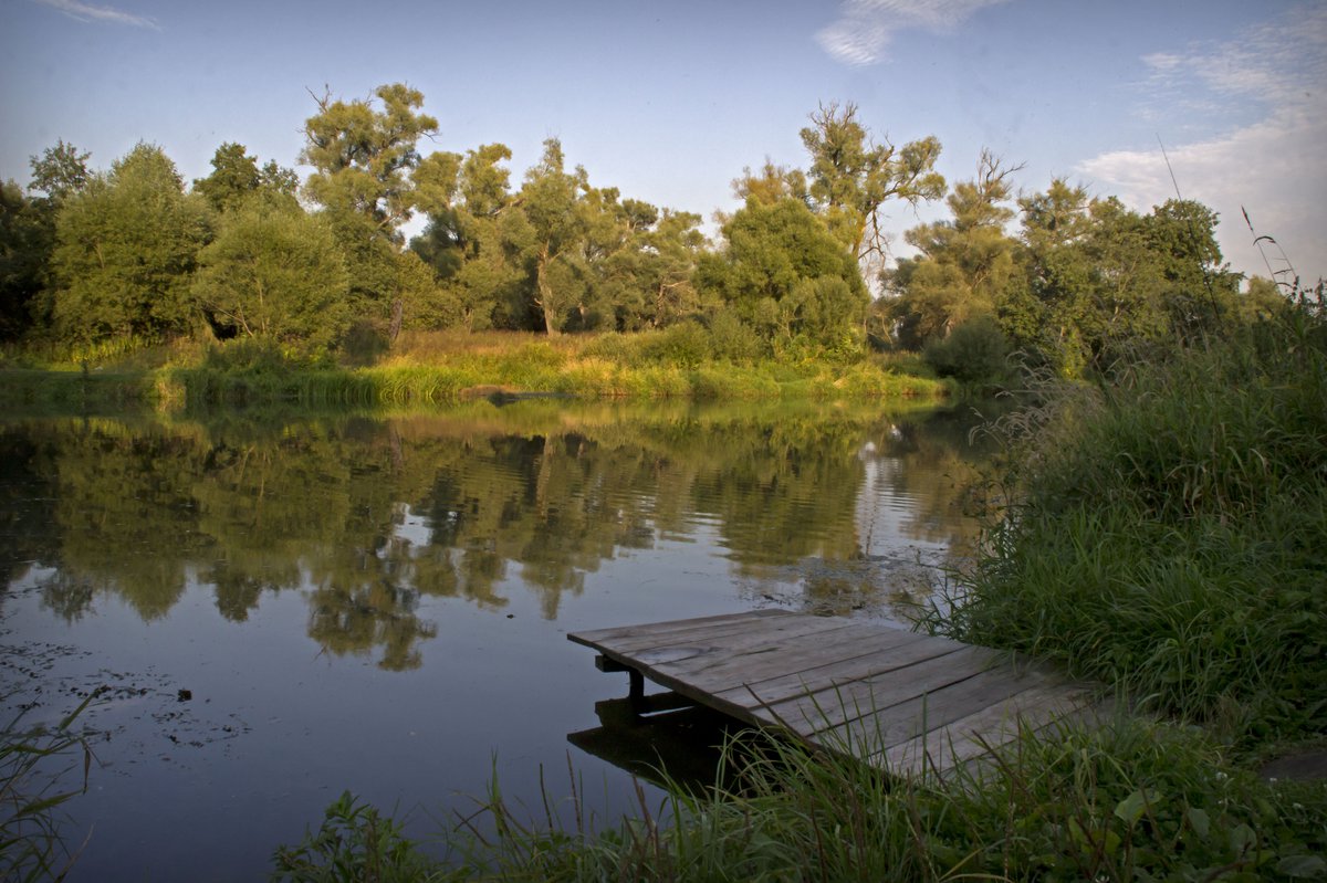 гладышевка деревянный. карельский пейзаж с пирсом. мосточки деревянные через речушку. река суенга деревянный мост. тейково мостки.