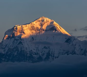 Дхаулагири