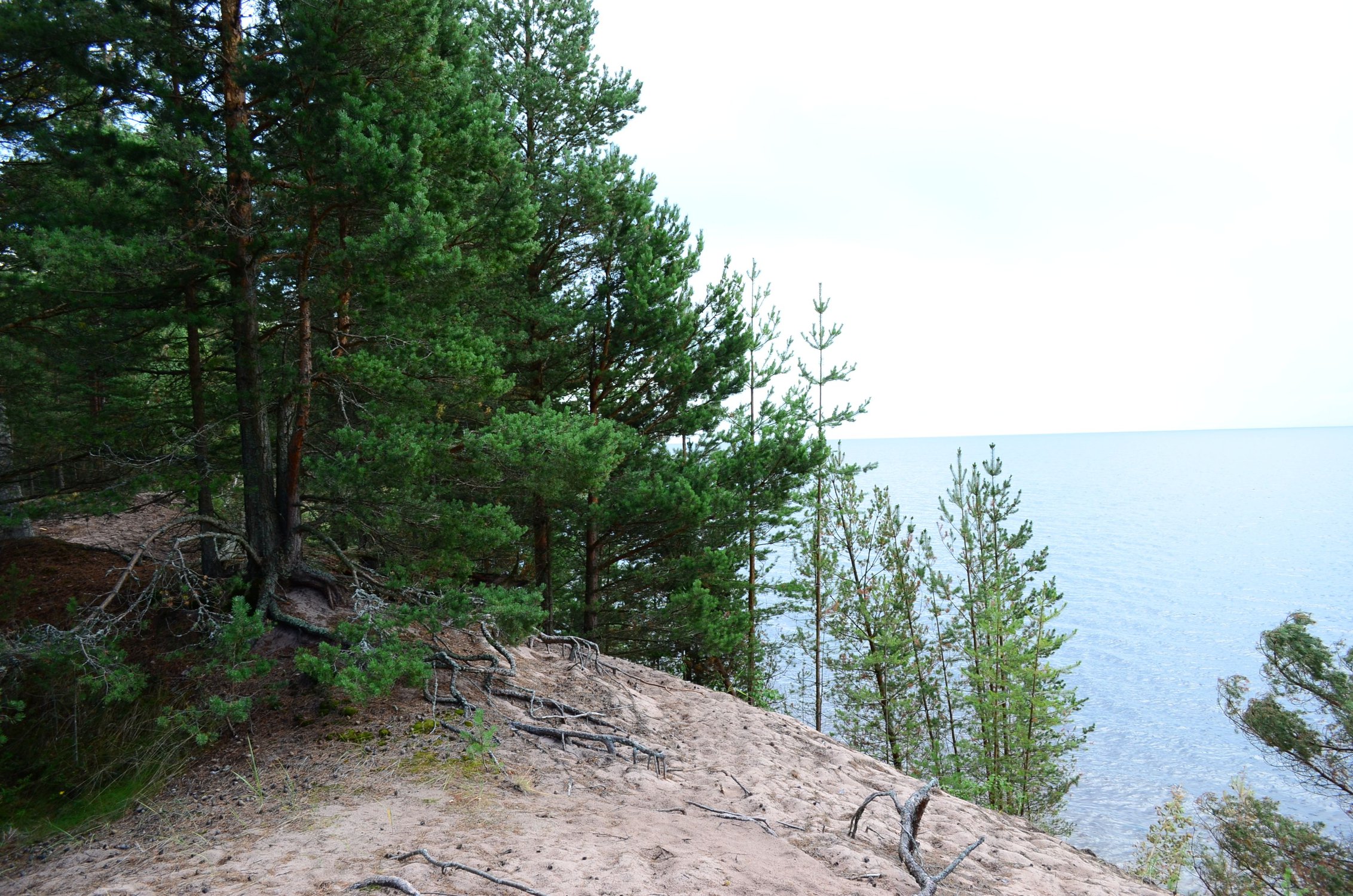 И ветер, и песок, и камни... Главное удержаться и выжить.