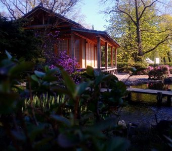 Уют в японском саду