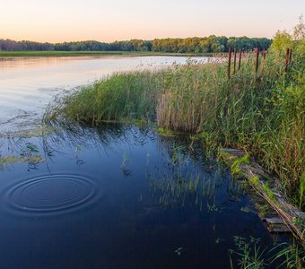 Вечернее умиротворение