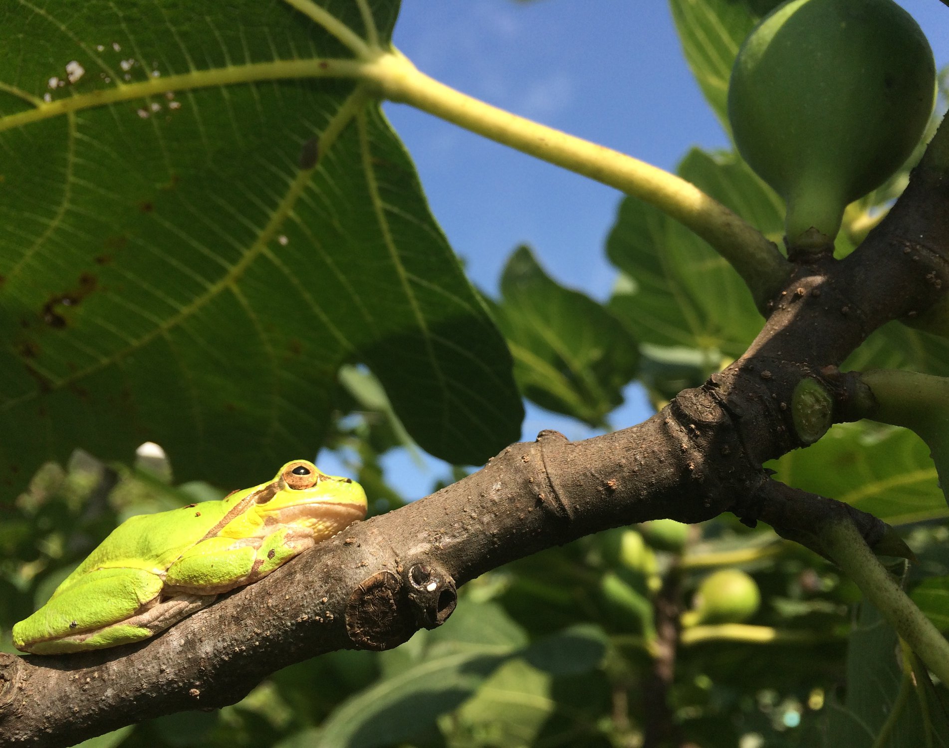 Доброе утро!