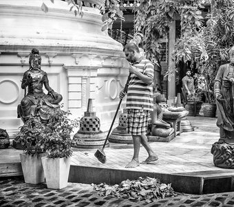 В храме Коломбо. Шри-Ланка