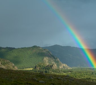 Вестник удачи