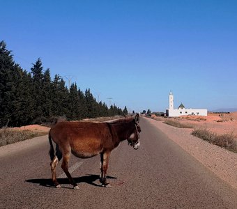 По дороге в Уджду, Марокко