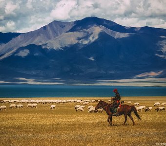 Пастух на озере Урэг, Монголия.