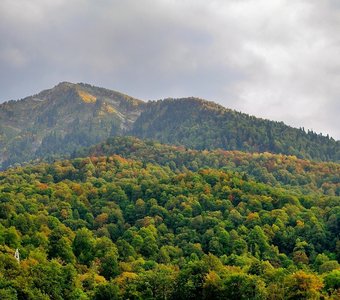 Цветной ковер Кавказских гор