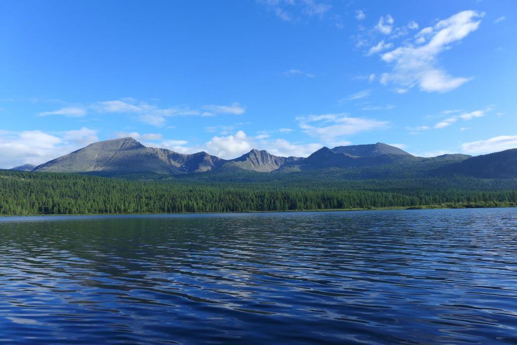 Ногаан хол тожу фото