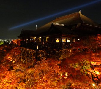 Осенние огни Киото