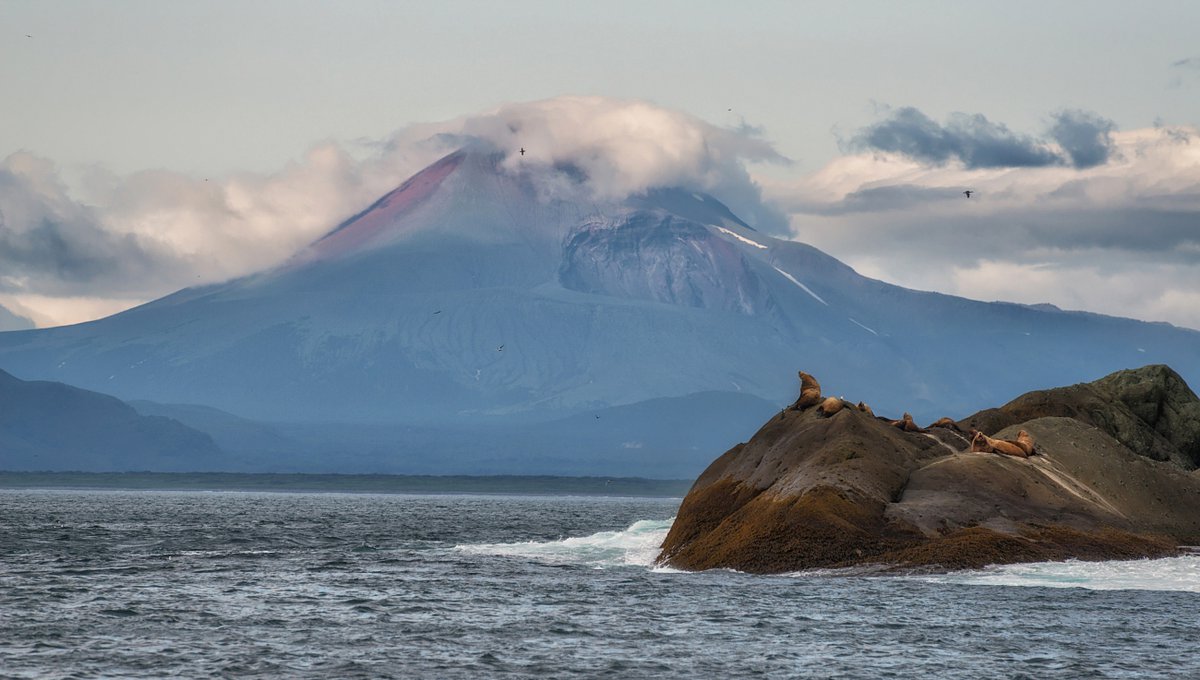 Флаг камчатского края фото