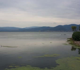 Озеро Голубац