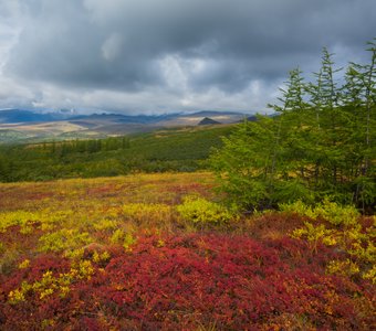 Осенняя Камчатка