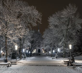 Зимняя Ночь в  Парке