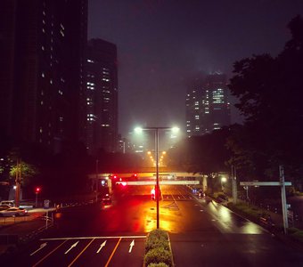 Ночной дождливый Синдзюку