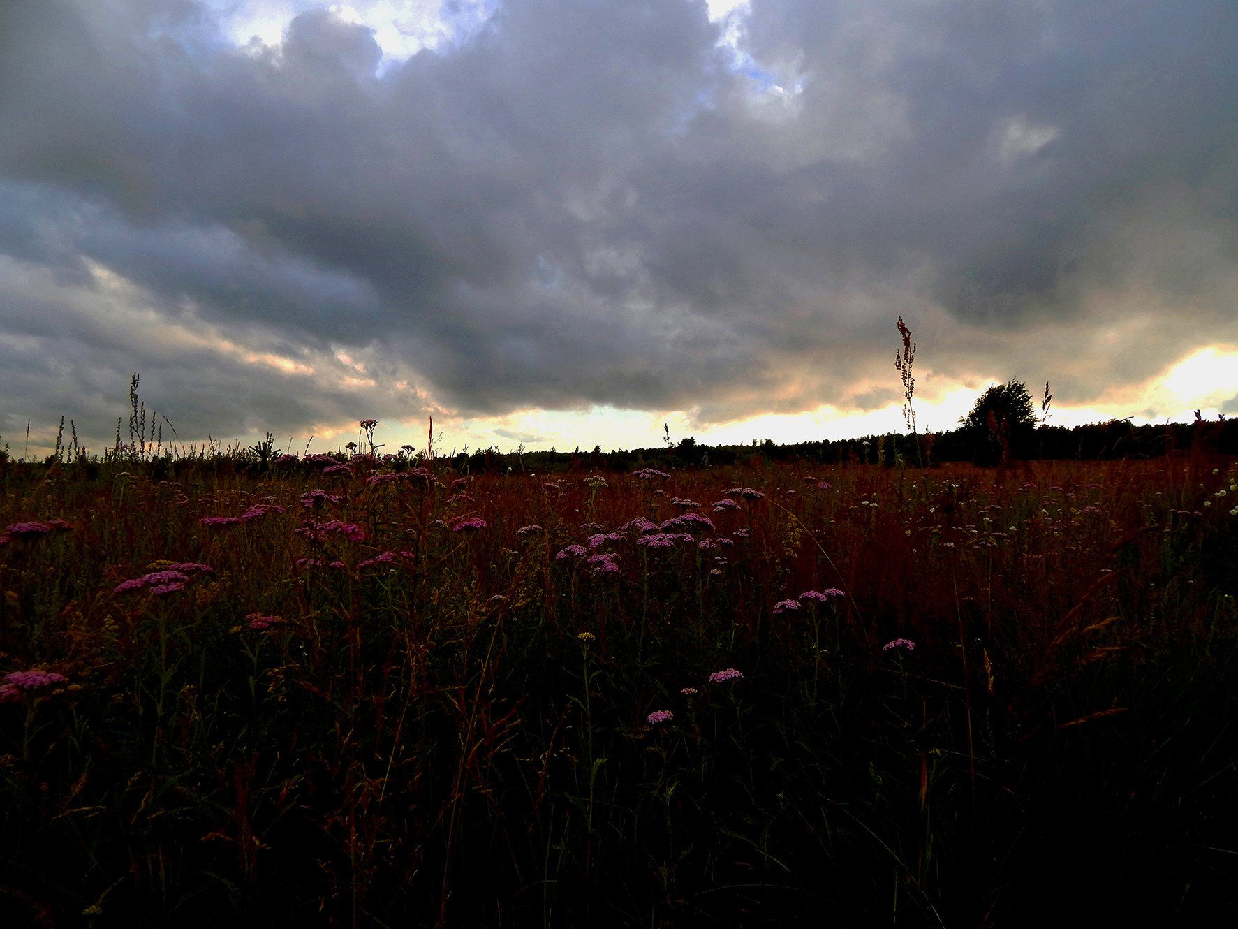 Широкий простор Сибири