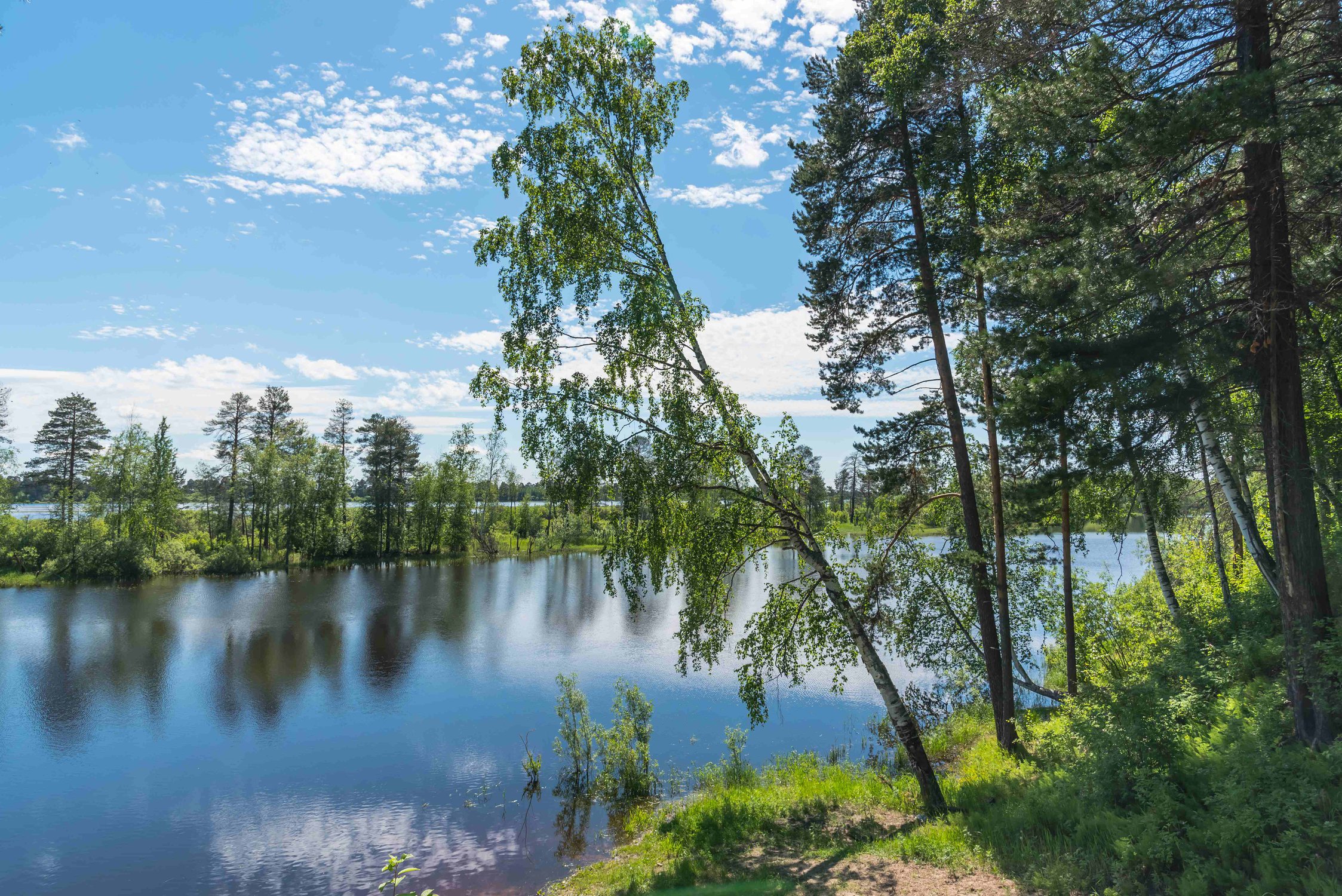 Тихое место