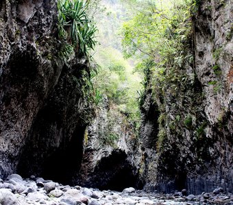Ущелье Bras de la Plaine