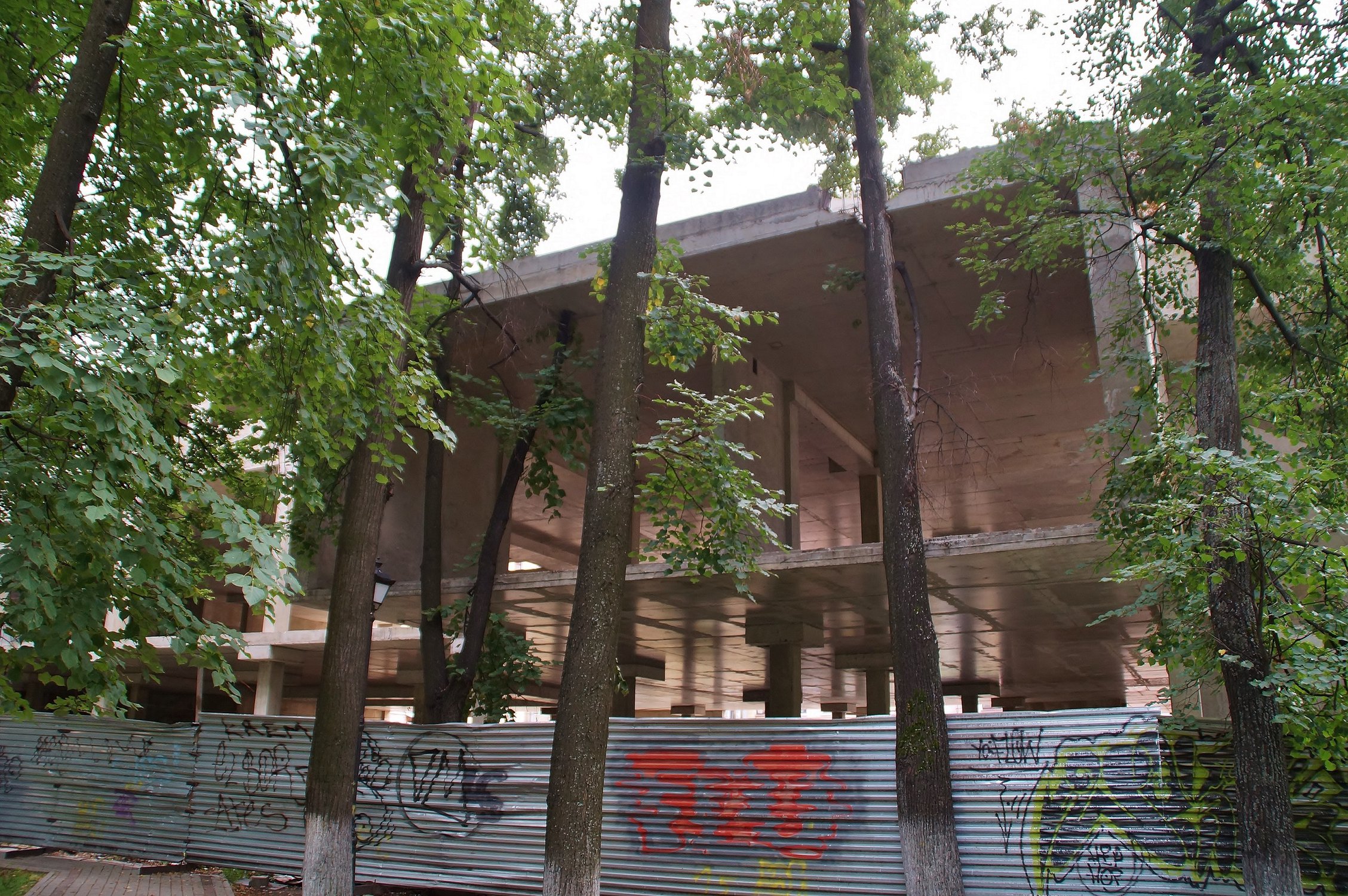 деревья в бетоне