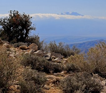 Панорама долины Коачелла