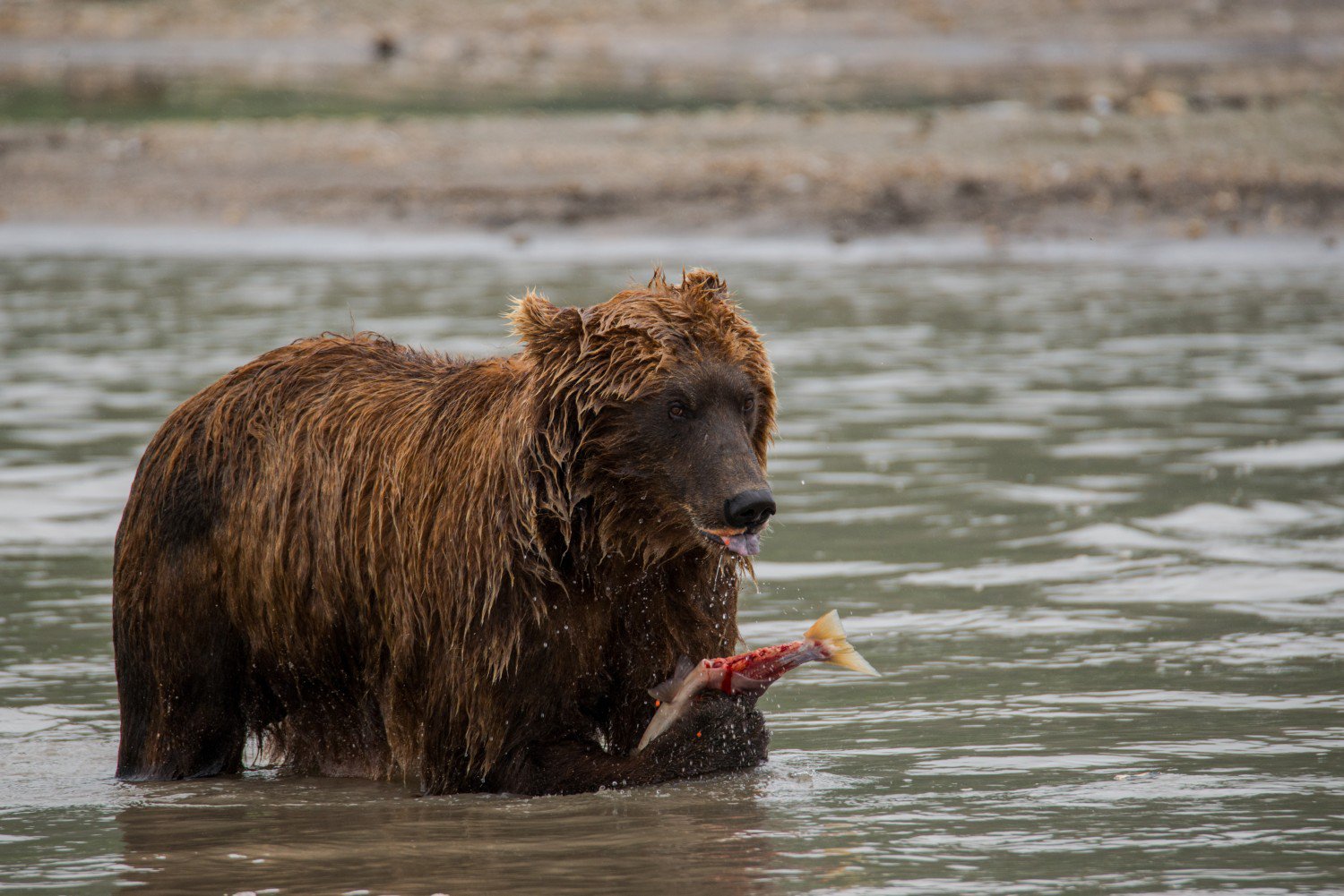 А вам не дам