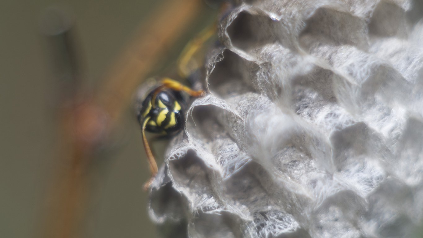 На благо потомства