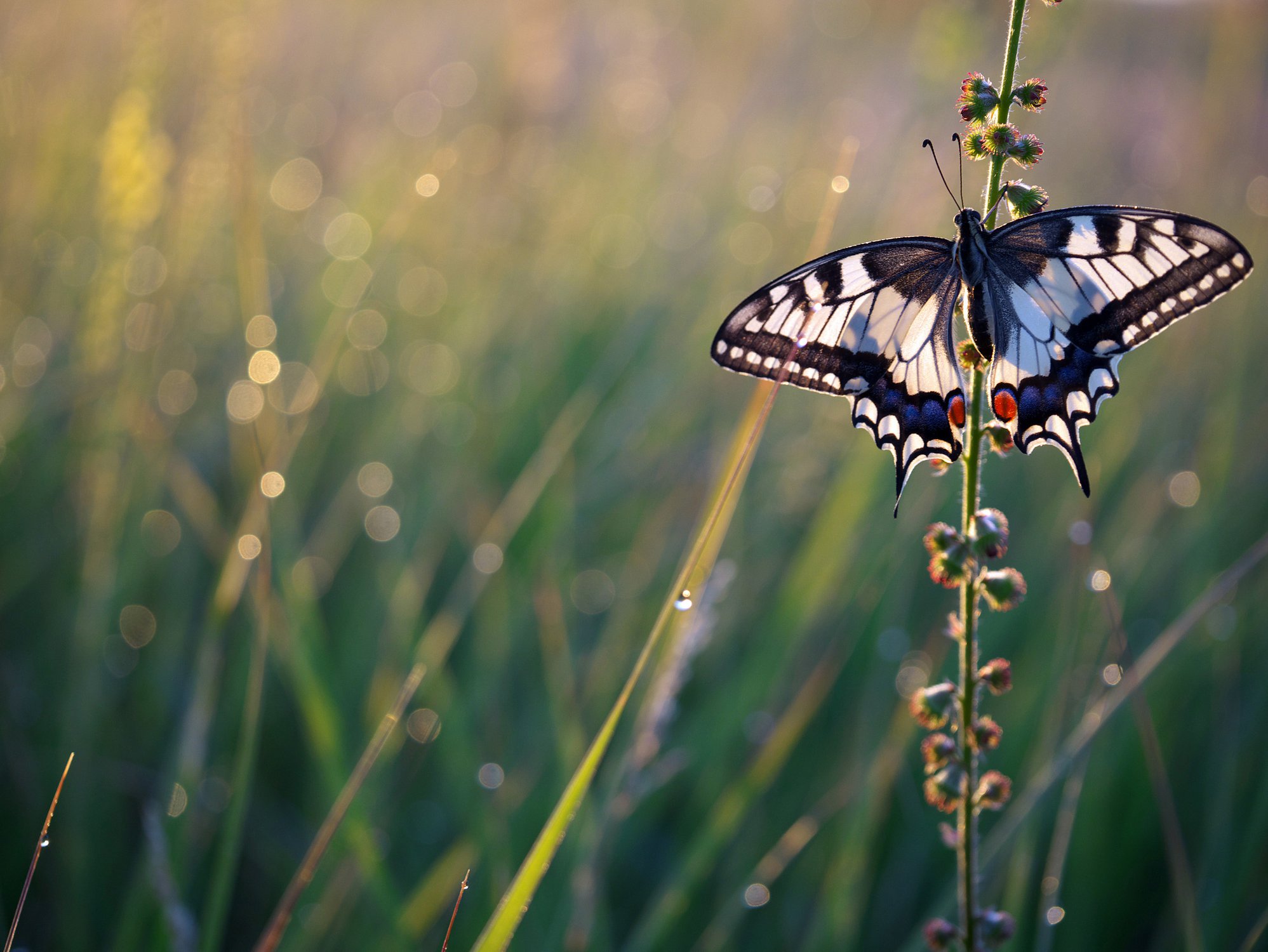 В ожидании полета.